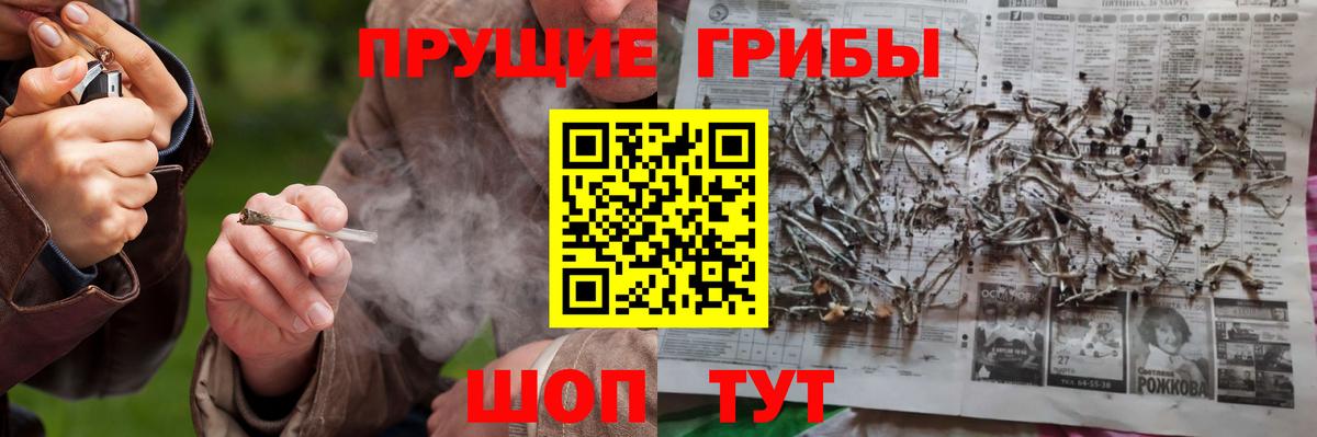 Псилоцибиновые грибы Psilocybine cubensis  Вход с VPN  Елабуга 